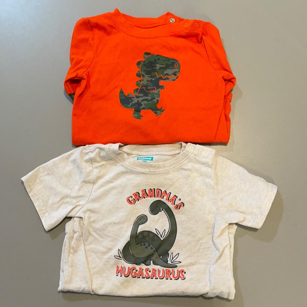 24 M 2 piece toddler boy bundle